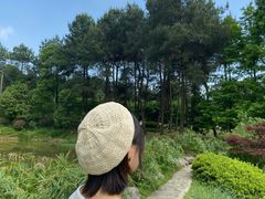 -铁山坪森林公园