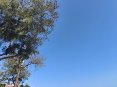 -白城沙滩