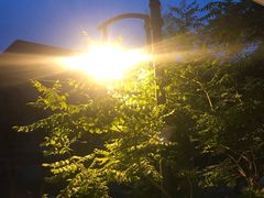 -勒甜LO CHO·私人订制低糖代糖纯动物奶油生日蛋糕(新开路店)