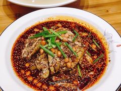 凉拌鸡-鸡毛店·川菜(双楠店)