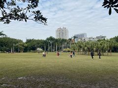 -东风公园