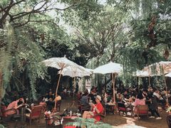 -Fern Forest Cafe