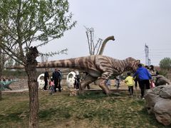 -西部长青自然儿童乐园