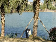 -枫香湖儿童公园