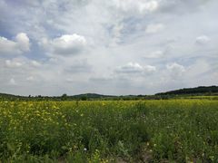 -鴜鹭湖生态旅游度假区