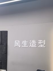 -风生造型