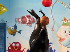 -太平洋海底世界