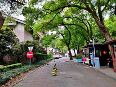 -浙江西湖美术馆