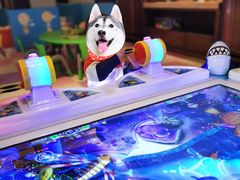 -上海崇明金茂凯悦酒店