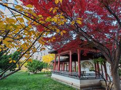 -亮马河饭店翠雅咖啡厅