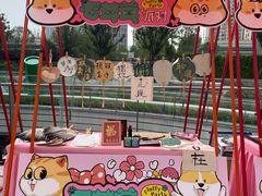 -申普宠物医院·心脏介入·心血管微创(总院)