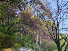 -乌山风景区