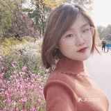 秋天去哪看红叶银杏，来奥森公园吧