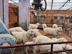 -OUR Bakery(SKP-S店)