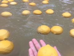 -天目湖涵田半山温泉