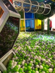 -KidSteam儿童乐园(富力城店)