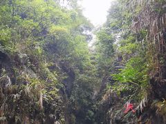 -华蓥山天意谷景区