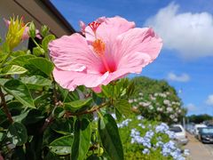 -钻石头山