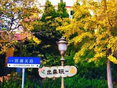 -八大关景区