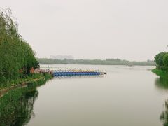 -大兴滨河森林公园