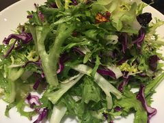 炝拌苦菊-刘胖子家常菜·蹄花焖藕(兴业店)