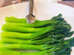 生炒菜心-食神鱼头佛跳墙(百子湾旗舰店)