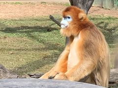 -西安秦岭野生动物园