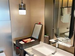 -新加坡瑞士史丹福酒店