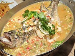 -佬肥猫(七宝宝龙店)