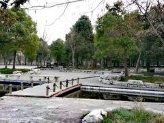 -溱湖国家湿地公园