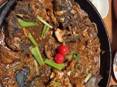 -老板恋上鱼(恒隆广场店)