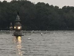 -西湖外事游船(花港观鱼码头)