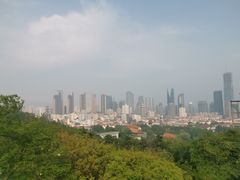 -青岛电视塔