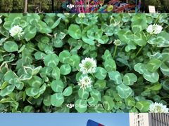 -合肥生态公园
