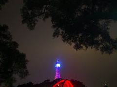 -金鸡山公园