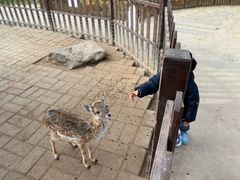 -西安秦岭野生动物园