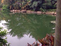 日月谷温泉渡假村-厦门日月谷温泉渡假村