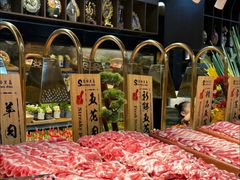 -苏格里岛自助海鲜烤肉(青秀万达店)