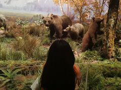 -将军关探险漂流