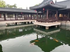 -江心屿景区