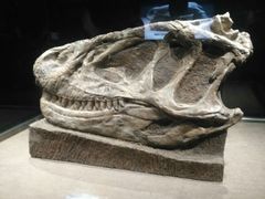 -自贡恐龙博物馆