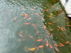 -会龙寺