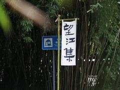 -望江楼公园
