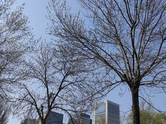 -元大都城垣遗址公园