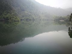 -鼎湖山风景区