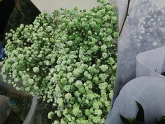 -循礼门鲜花花市(武汉循礼门店)