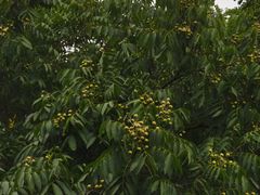 -合肥野生动物园