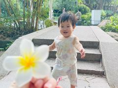 -晓港公园