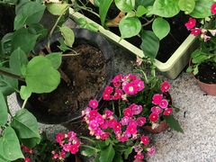 -许鲜生健康生活馆·精细潮菜(奥绅体育公园店)