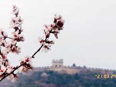 -居庸关长城